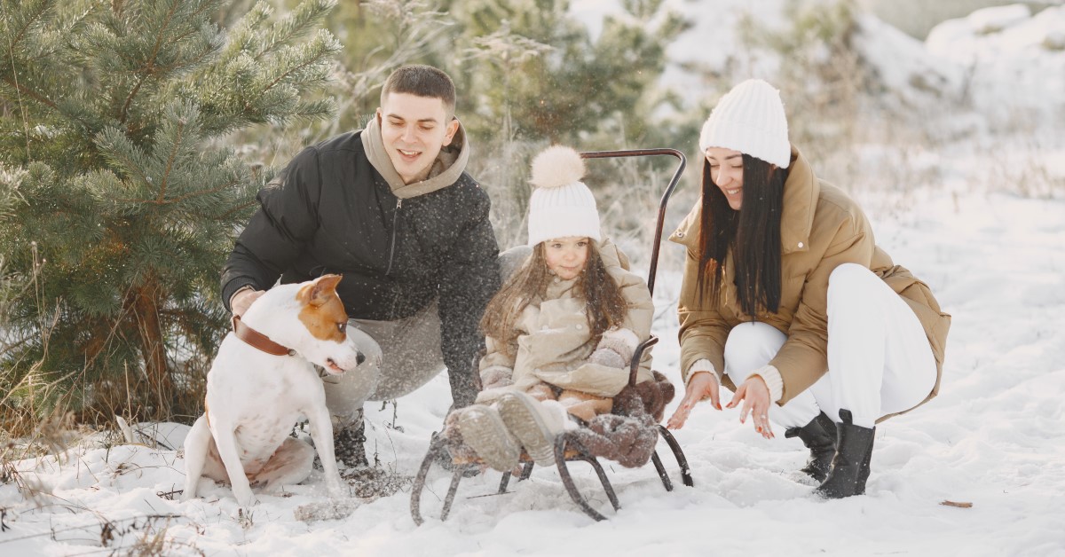 8 Winter Activities to Do with Your Pet